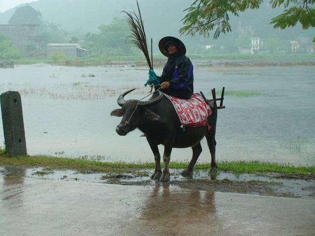 Urlaub in Vietnam 2007